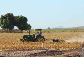 Sector agrícola apostará por libre comercio: Villalobos Arámbula