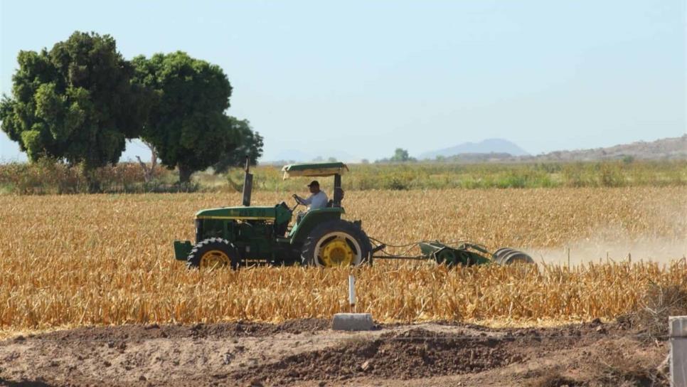 Sector agrícola apostará por libre comercio: Villalobos Arámbula