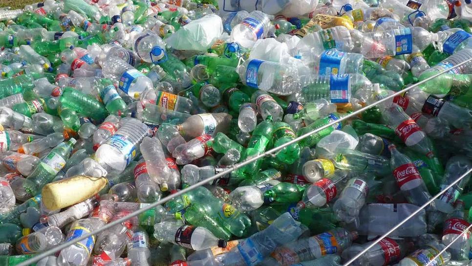 Cada minuto se compran en el mundo un millón de botellas de plástico