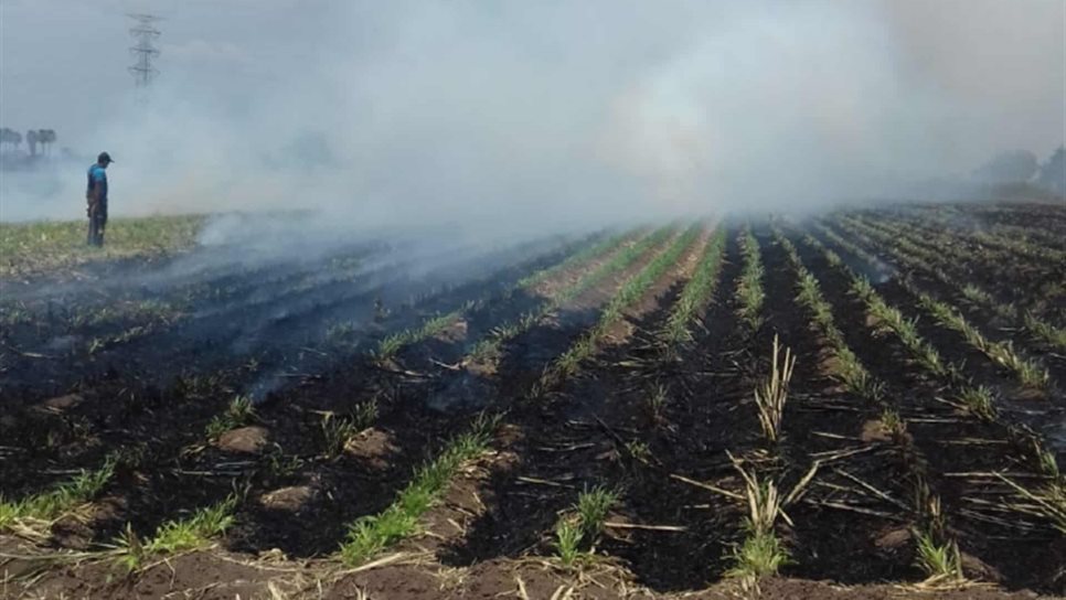 Atrapan a propietario agrícola quemando soca