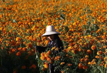 Agricultores llaman a impulsar campo agrario en próximo sexenio