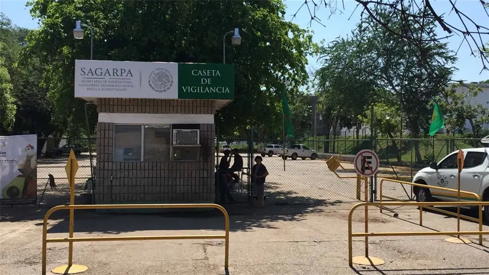 FOTO: Manuel Aceves.