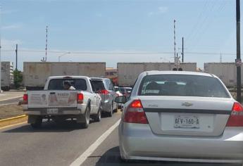 ¡Precaución! Las plumas no bajan en Mazatlán