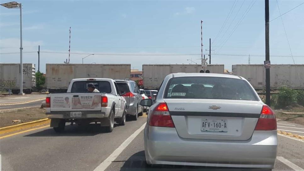 ¡Precaución! Las plumas no bajan en Mazatlán
