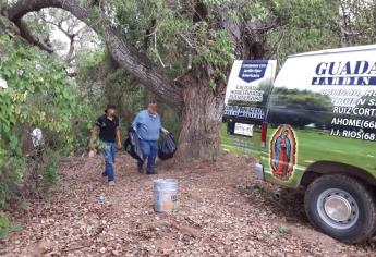 Suman cinco osamentas localizadas en Las Grullas