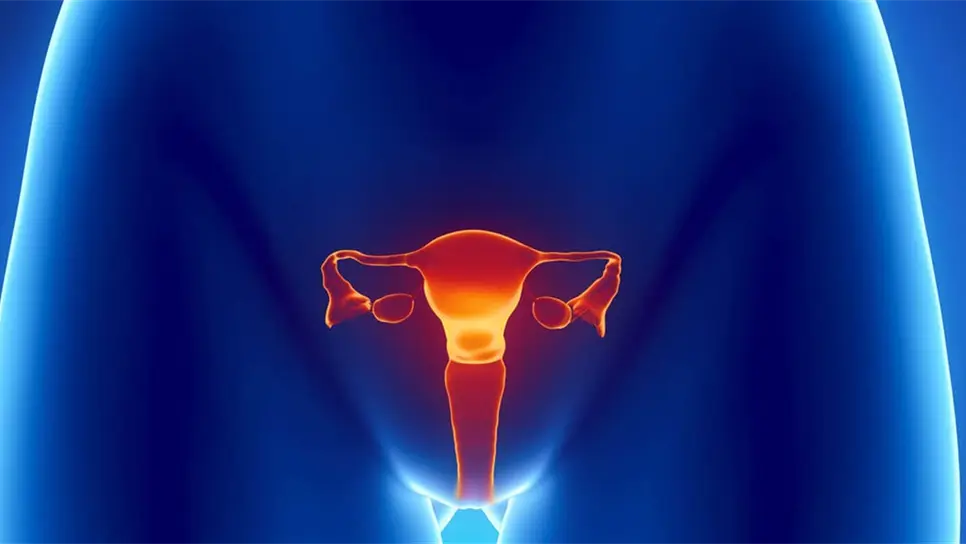 Prueba de orina podría prevenir el cáncer cervical