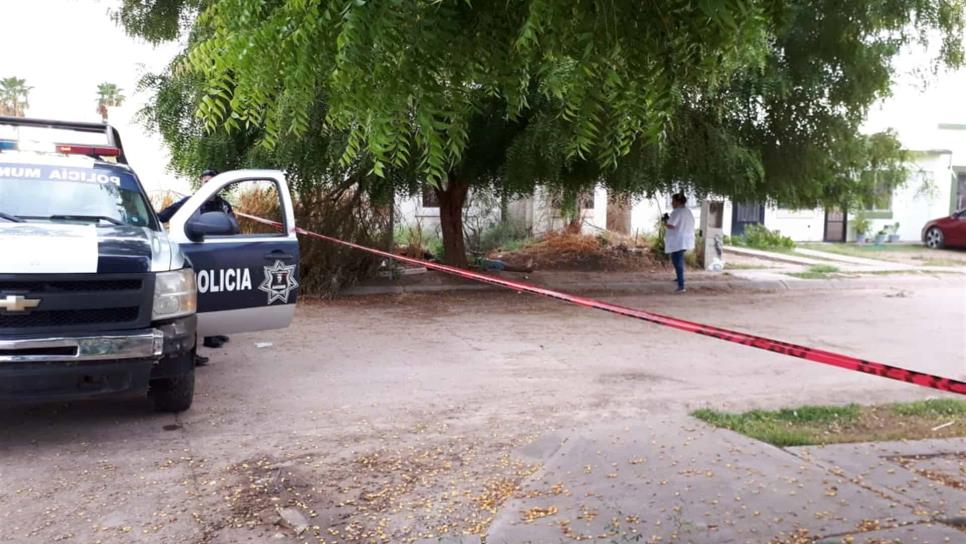 Hallan asesinado a un joven en Urbi Villa del Rey