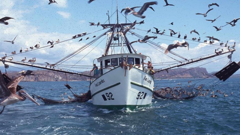 El futuro de la pesca sustentable, en manos de nueva legislatura: Canainpes