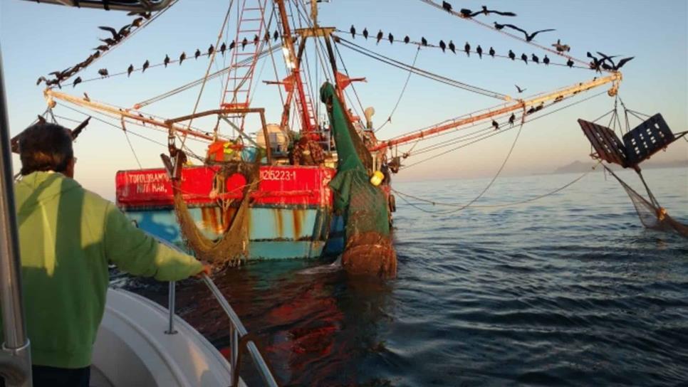 Descartan riesgos por embargo pesquero de corte de EUA