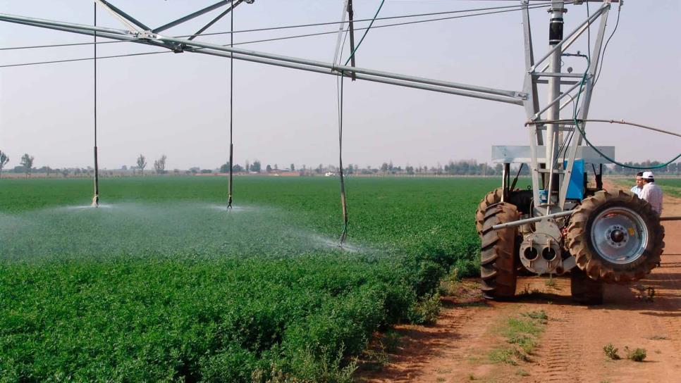 Riego tecnificado, alternativa de ahorro de agua en agricultura