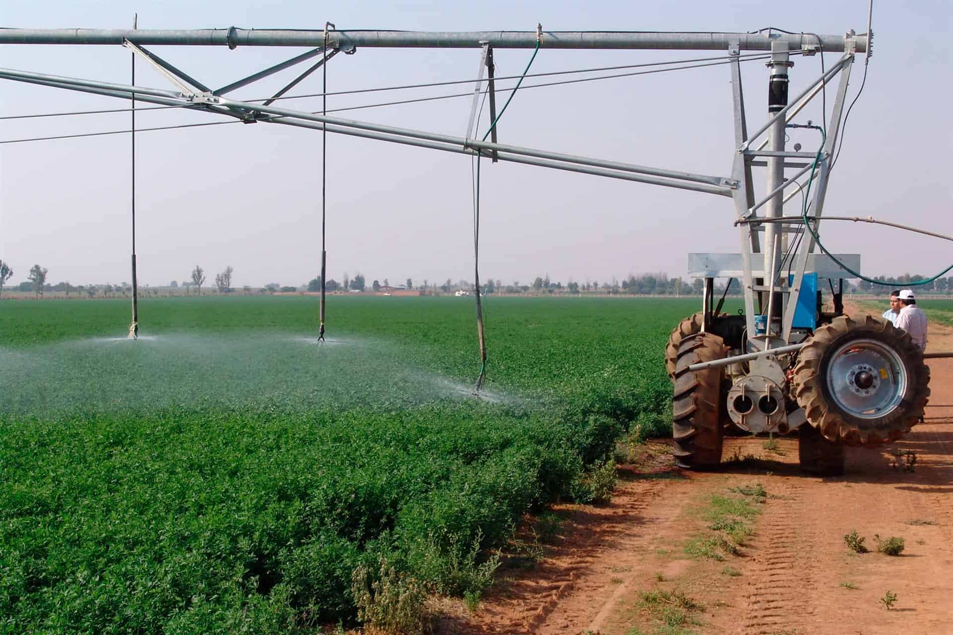 Riego tecnificado, alternativa de ahorro de agua en agricultura