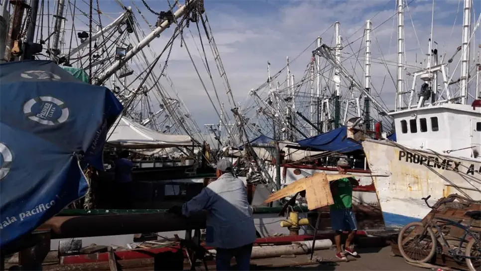 Despliega operativos la Semar previo levantamiento de la veda de camarón