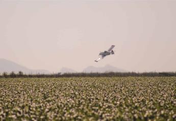 Listos productores para bombardear nubes en septiembre