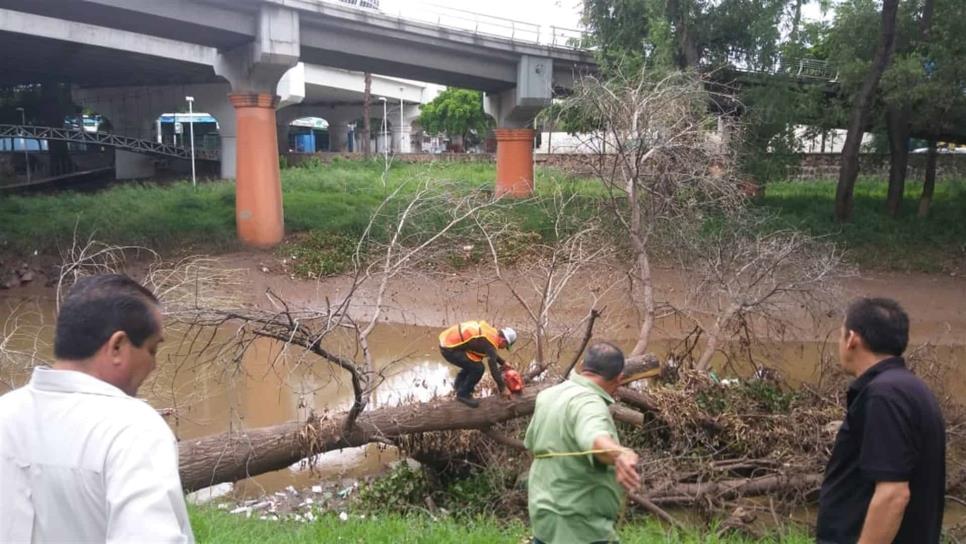 Realizan jornada de limpieza en el margen del río Tamazula