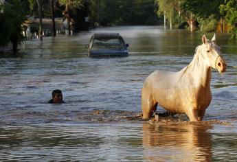 ¿Sabes qué hacer si tu auto se queda bajo el agua por inundación?