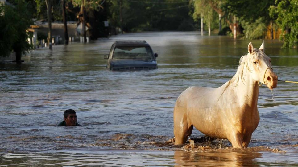 ¿Sabes qué hacer si tu auto se queda bajo el agua por inundación?