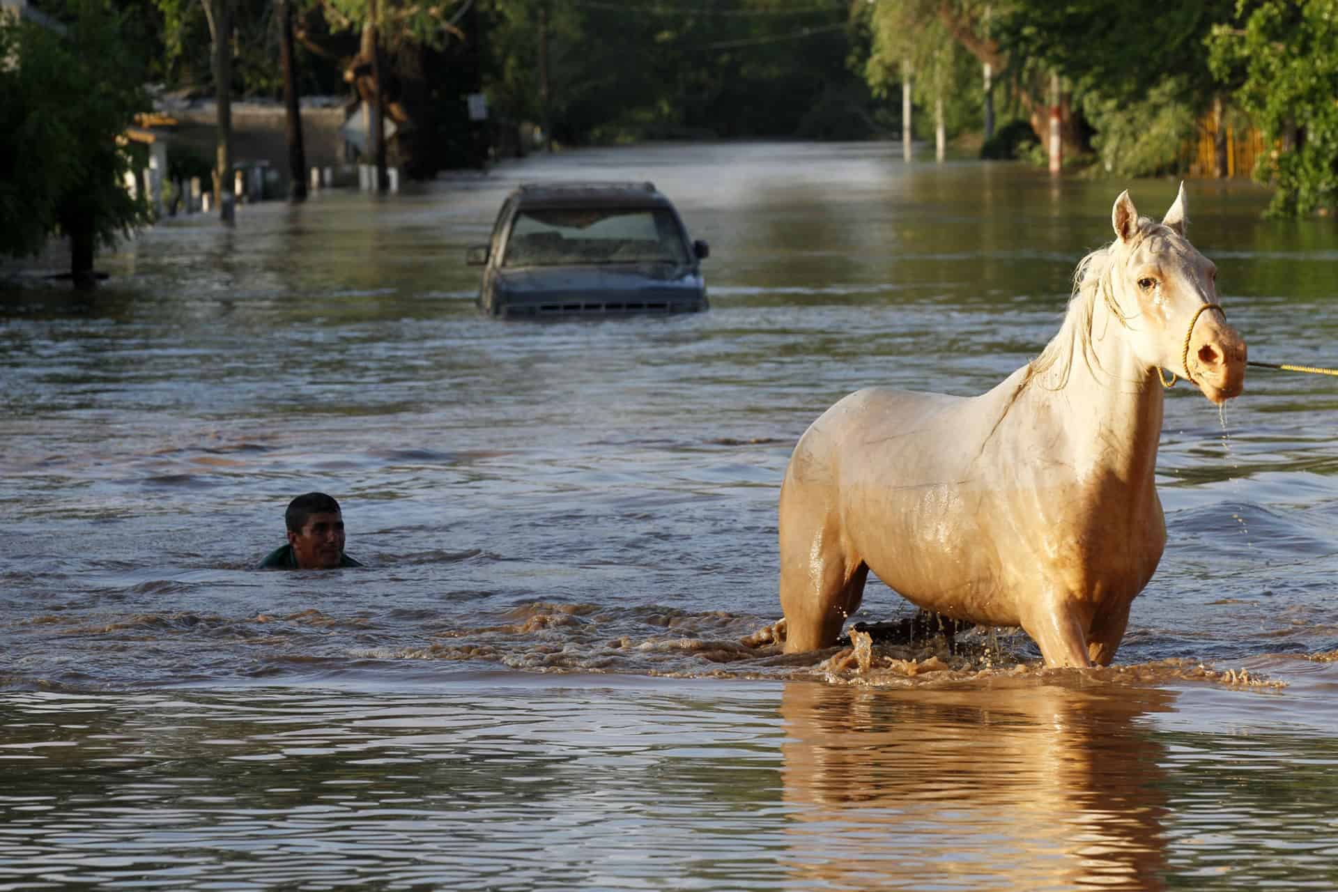 ¿Sabes qué hacer si tu auto se queda bajo el agua por inundación?