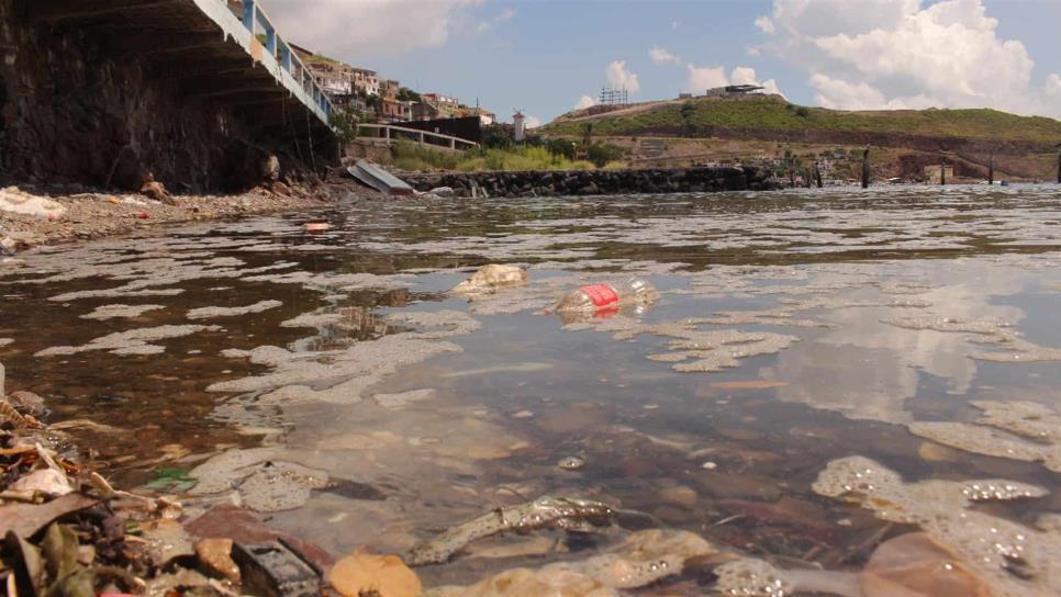 Termoeléctrica, principal contaminante de Topolobampo: afectados