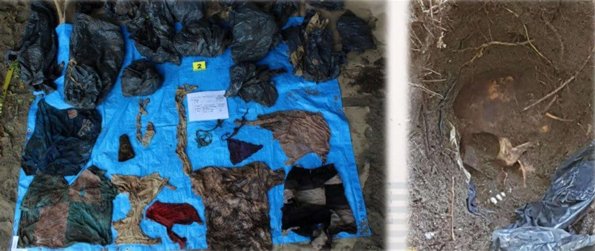 Hallan 166 cuerpos en fosas de Veracruz