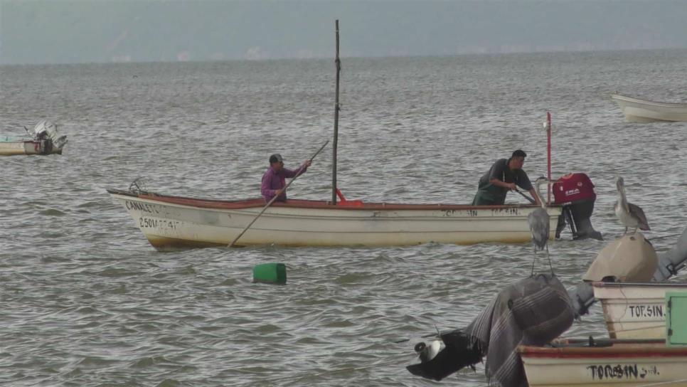 Sector pesquero, responsable y consciente de prácticas sustentables