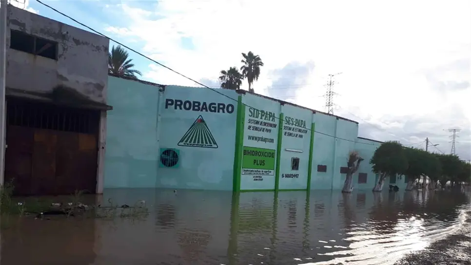 FOTO: Víctor Acosta.