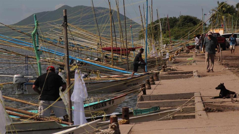 Autoridades garantizan seguridad en Ahome tras levantamiento de veda de camarón