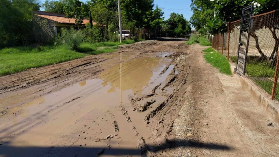 Vecinos del Campo 1, cansados de vivir entre lodo y moscos