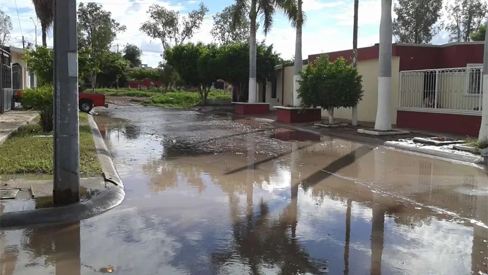 FOTO: Jessi Jáuregui.