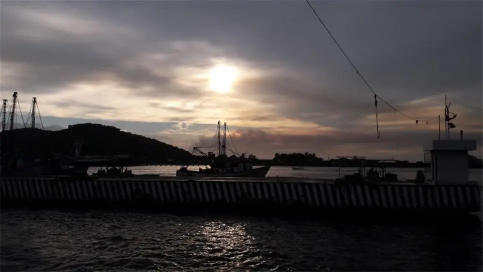 Más de 500 barcos iniciarán la pesca del camarón de altamar