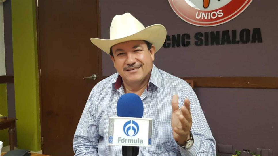 Precio de garantía planteado por AMLO no beneficia a Sinaloa: CNC