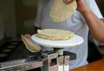 Precio de la tortilla podría subir en Sinaloa