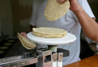 Prevén un incremento en precio de la tortilla por Ley maíz nativo