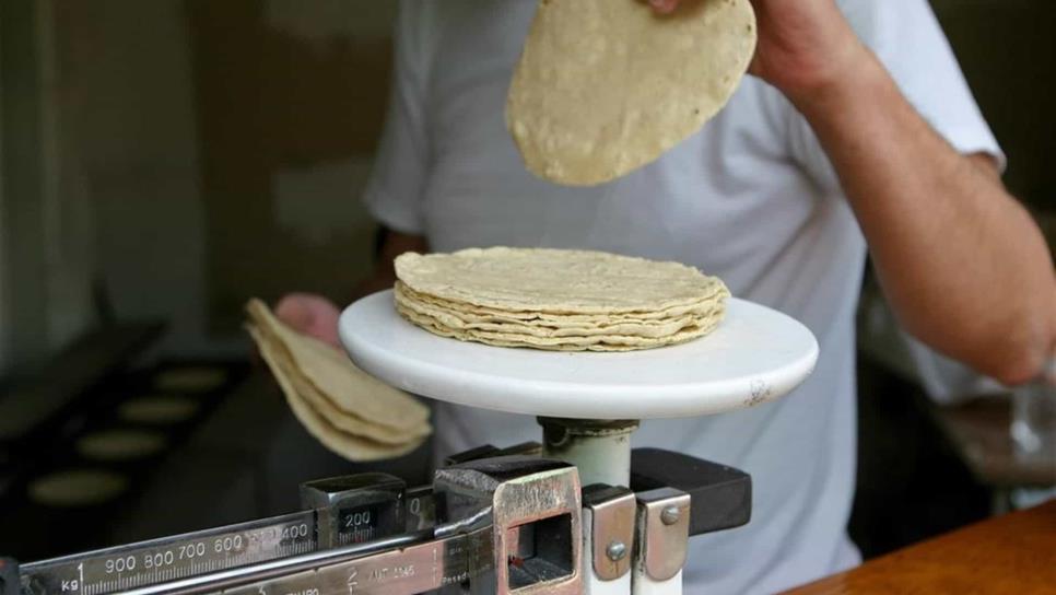 Prevén un incremento en precio de la tortilla por Ley maíz nativo