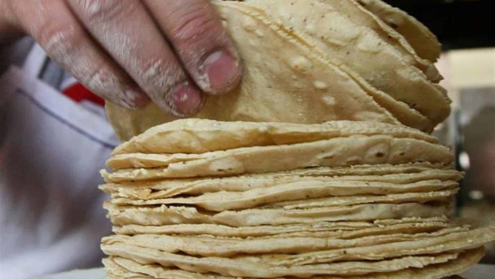 Un salario mínimo necesita María Carmen para comprar tortillas