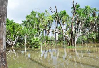 Se requieren 4 mdp para rehabilitar el Jardín Botánico