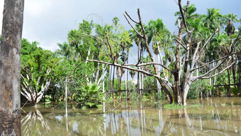 Se requieren 4 mdp para rehabilitar el Jardín Botánico