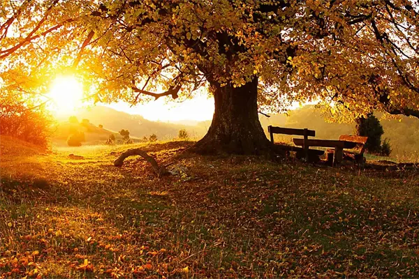 Esta noche inicia el otoño en el Hemisferio Norte Esta noche inicia el otoño en el Hemisferio Norte