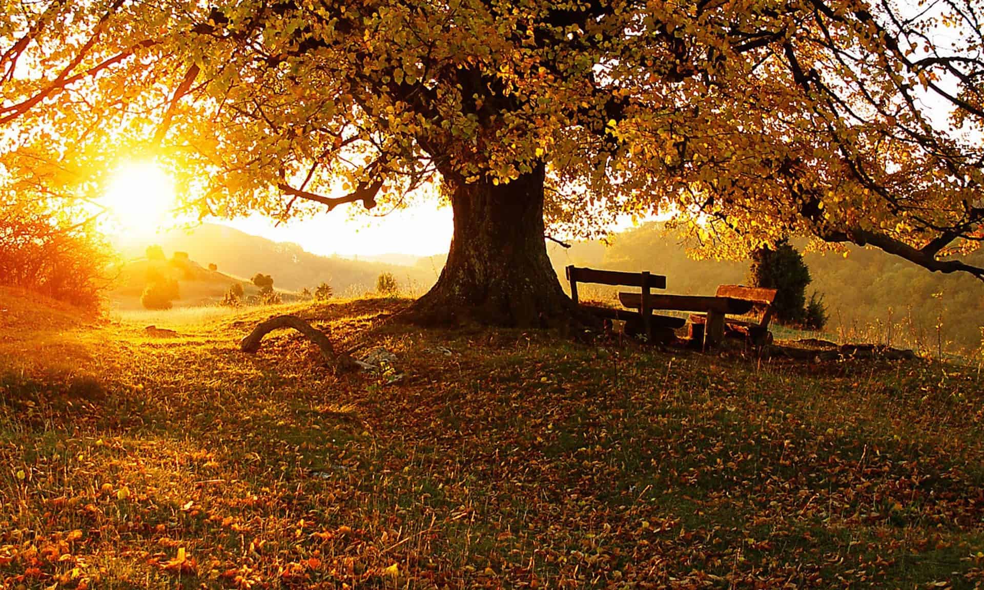 Esta noche inicia el otoño en el Hemisferio Norte