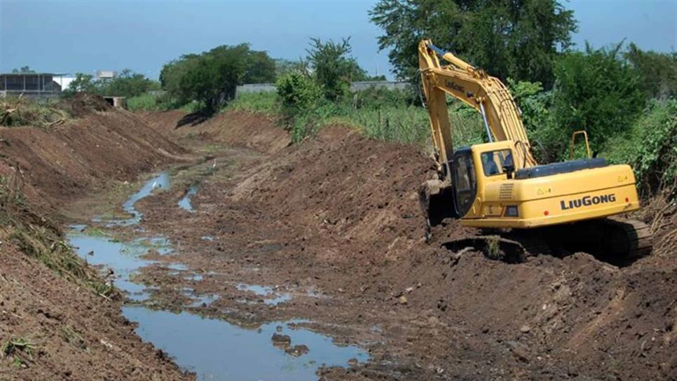 Por obstruir, quitarán mangles de drenes de la región Por obstruir, quitarán mangles de drenes de la región