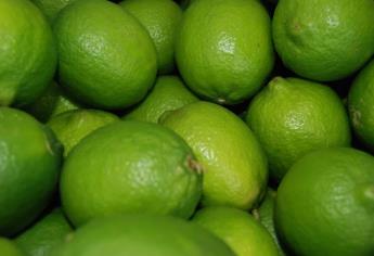 Aguacate, cebolla y limón, precios con más variación