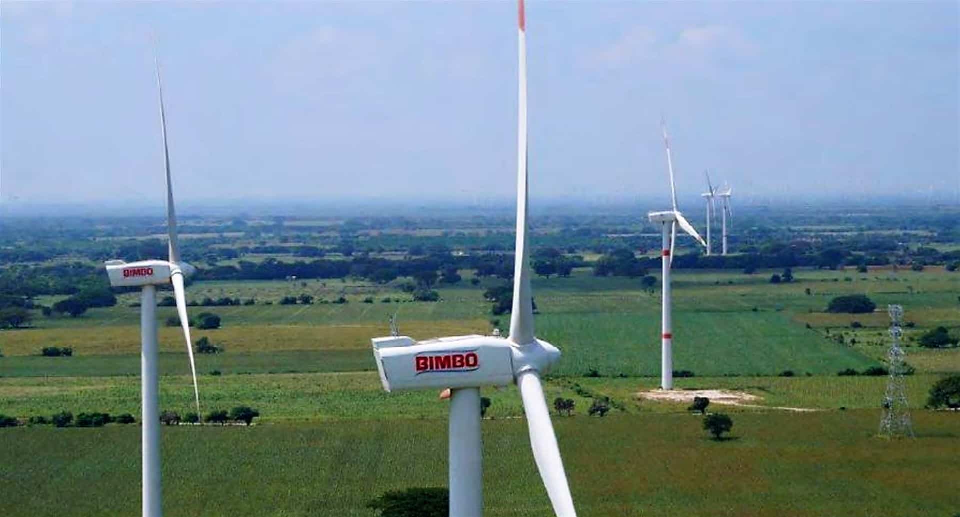 Bimbo utilizará energía renovable en todas sus operaciones en 2025