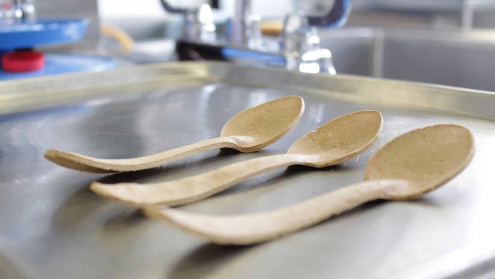 Investigadores del IPN desarrollan cuchara comestible de salvado de arroz Investigadores del IPN desarrollan cuchara comestible de salvado de arroz
