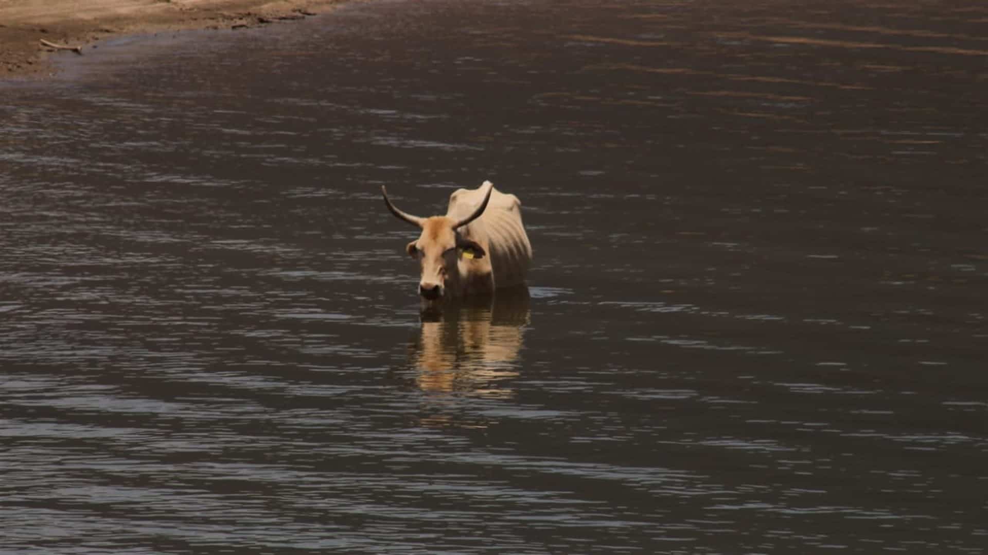 FOTO: Luz Noticias | Archivo.