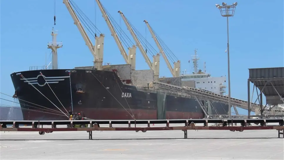 Importación de maíz sin arancel preocupa a productores mexicanos