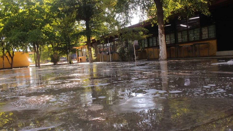 Piden ayuda en la primaria Morelos para saneamiento de los salones Piden ayuda en la primaria Morelos para saneamiento de los salones