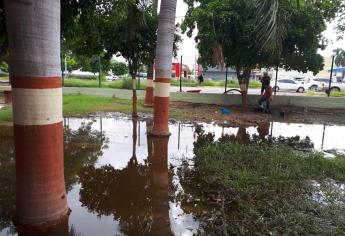 SEPyC detecta 12 drenajes colapsados en escuelas de Ahome