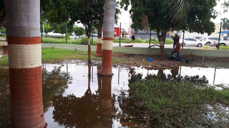 SEPyC detecta 12 drenajes colapsados en escuelas de Ahome