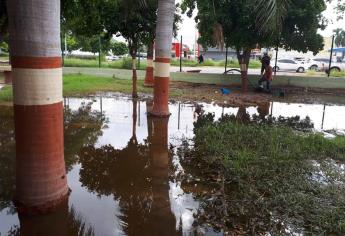 Mantienen tres escuelas cerradas por riesgos para alumnos en Ahome