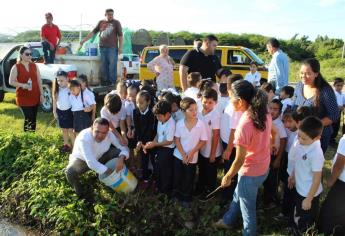 Niños de primaria siembran alevines como actividad didáctica