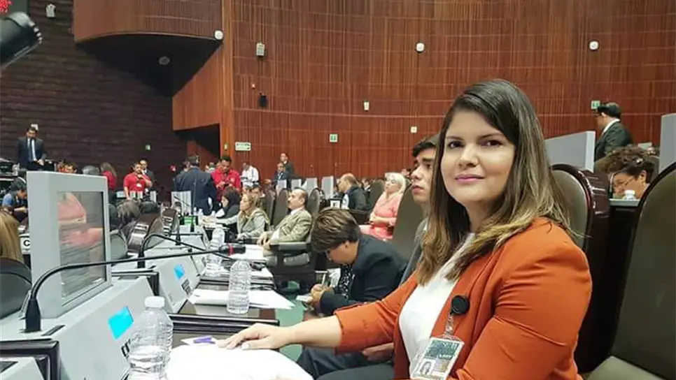 Sentar bases para el gobierno de AMLO, prioridad de legisladores: Merary